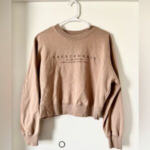Abercrombie Brown Cropped Sweatshirt